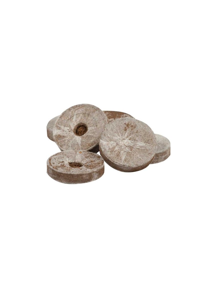 Jiffy Dischetti di Cocco per Germinazione Ø 3,5 cm