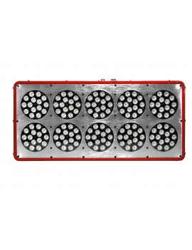 10 Led Growlux 480W (Real consumption 350W) Growth + Flowering - Ortoled