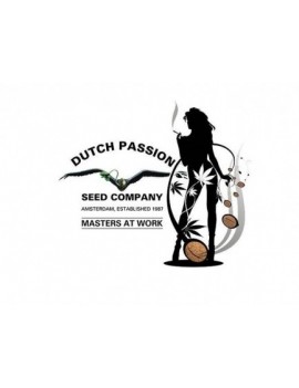 Dutch Passion - Grinder 4 sections