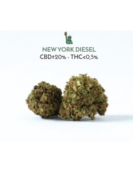 New York Diesel - Scibidì