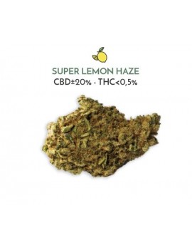 Super Lemon Haze - Scibidì