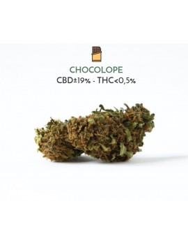 Chocolope