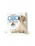 CBD Pasti for Dogs - Cibapet