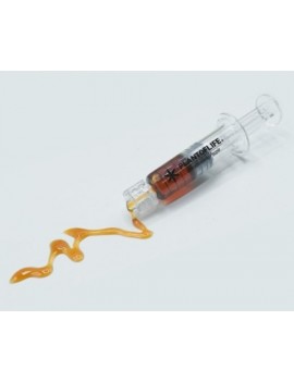 WAX CBD 66% Syringe 0,5g -...