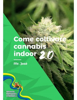 How to grow Cannabisbis...
