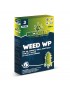 Biostimulant with Micorrize for Disease Prevention Fungal, Weed WP Phase 3 Prevents - Micohemp