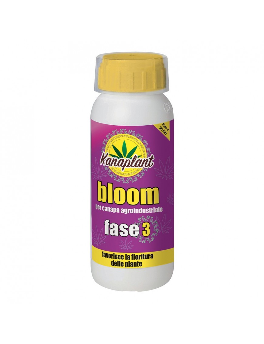 Bloom Fase3 500gr - Kanaplant