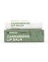 CBD lip balm - Enecta - Sir Hemp (photo1)