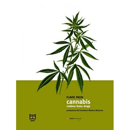 CannabisBi. I thought it was drugs - Flavio Passi
