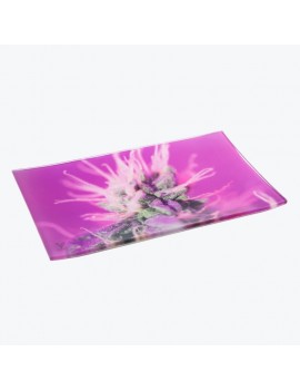 Glass Rolling Tray Pink L-V Syndicate