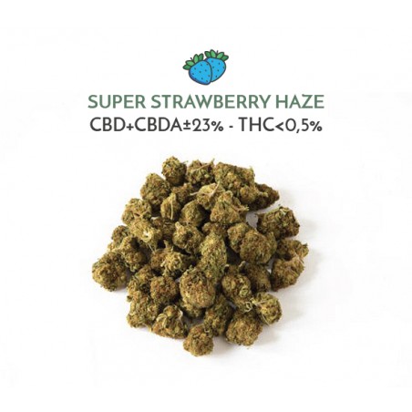 Super Strawberry Haze - Scibidì