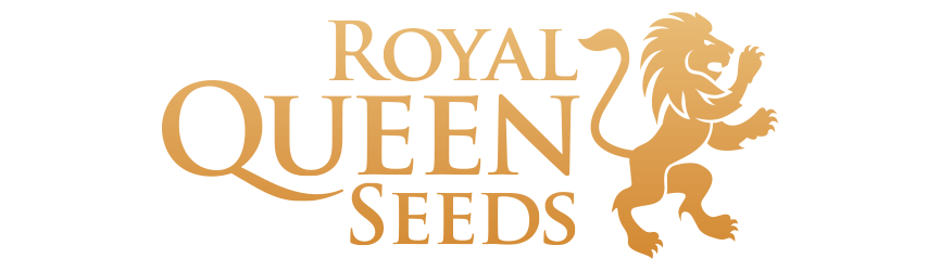 Royal Queen Seed